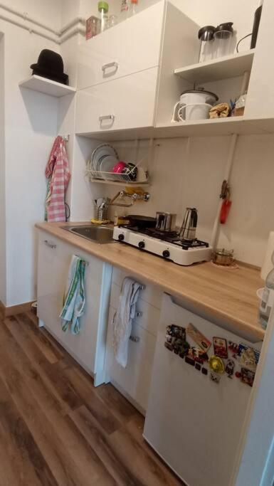 Entire Studio In The City Center Apartament *